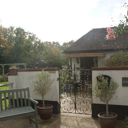 Woodacre B & B Arundel Eksteriør billede