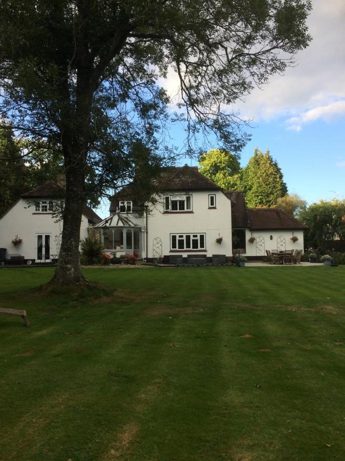 Woodacre B & B Arundel Eksteriør billede